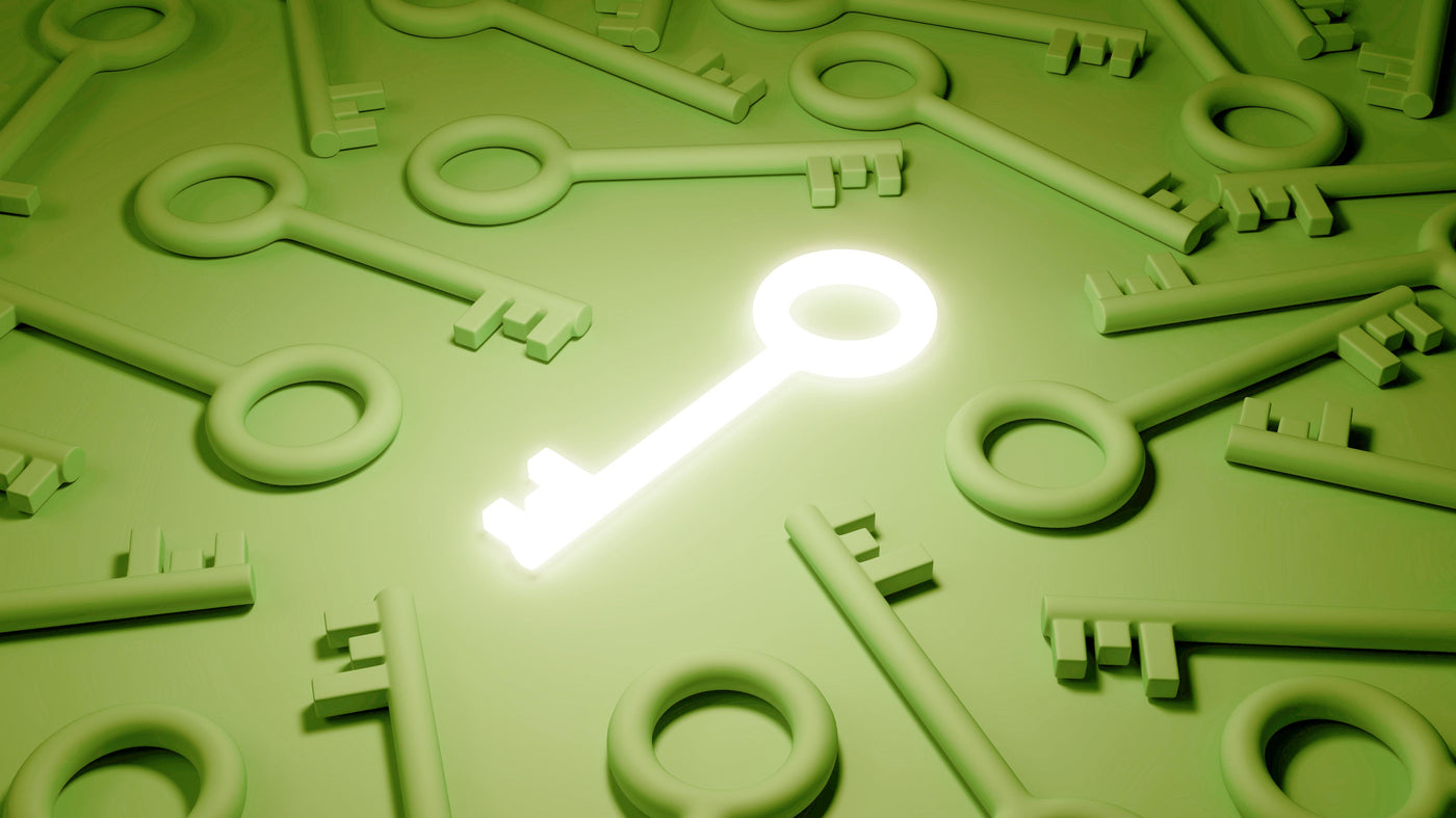 Personalisatie en Klantbehoud in E-commerce: De Sleutel tot Succes in 2024